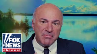 Kevin OLeary This may prove to be a huge mistake for the Democrats [upl. by Letsirc610]