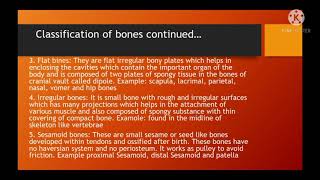 veterinary Anatomy class 2Anatomical planes and osteology [upl. by Faun]