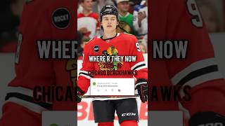 Where Are They Now 2015 Chicago BlackHawks 2015 chicagoblackhawks sports [upl. by Carolan595]