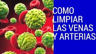 🔴 COMO LIMPIAR Y DESTAPAR VENAS Y ARTERIAS Increible fijate [upl. by Amre699]