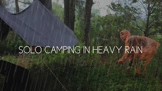 SOLO CAMPING IN HEAVY RAIN  CAMPING AND COOKING IN A WARM TENT  ASMR [upl. by Eilyak929]