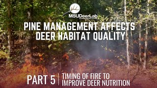 Part 5 Timing of Fire to Improve Deer Nutrition [upl. by Narcis963]