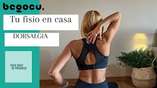 FISIOTERAPIA PARA LA DORSALGIA [upl. by Ellenaej]