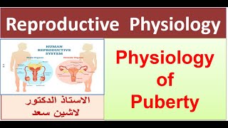 Physiology of puberty [upl. by Nadnal]