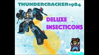 G1 Transformers Reviews  Deluxe Insecticons w Thundercracker 1984 [upl. by Selry]