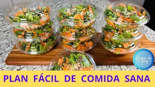 Idea Fácil para Comer Sano toda la Semana MENÚ DE ENSALADAS Evita Colesterol Azúcar Hígado Graso [upl. by Dowd]