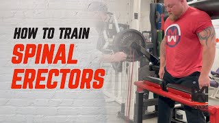 How To Train Your Spinal Erectors THE RIGHT WAY [upl. by Hterag]