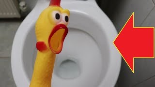 WILL IT FLUSH SHRILLING CHICKEN [upl. by Drofnats]