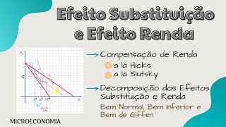 Efeito Substituição  Efeito Renda e Efeito Total [upl. by Aehtorod264]