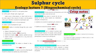 Sulphur Cycle  Biogeochemical cycle  Ecology lecture 7  UG  PG  UPSC [upl. by Lledyr]