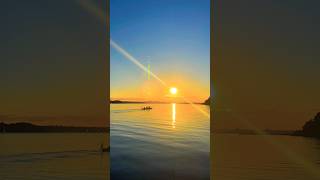 📍Kolding Fjord Denmark 🇩🇰 kolding denmark sunset beautiful youtubeshorts viralvideo dansk [upl. by Yeldnarb]