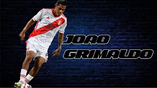 Joao grimaldo jugadasSkills●HD [upl. by Nohpets]