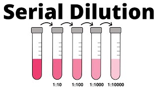 How to prepare a Serial Dilution [upl. by Yaral541]