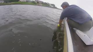 Navesink River crabbing [upl. by Cedar44]