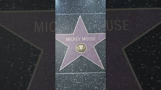 Hollywood Walk of Fame Unveiled Stars Stories amp Fun Facts [upl. by Alexi]