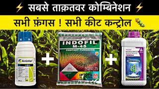 Best powerful fungicide and insecticide combination  trassid insecticide  Mancozeb 75  amistar [upl. by Ahsiekram574]