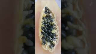 Sweet ripe Papaya fruit shortvideo shortsyoutube fruitlover papaya shorts viralvideo ytviral [upl. by Ahsirpac308]