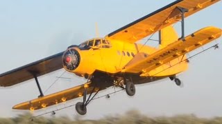 PZLMielec An2 mosquito control at Szeged airport Hungary [upl. by Riess]