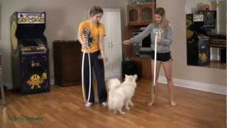 Basic Hula Hooping Tutorial  Fun with Hula Hoop Tricks [upl. by Hulbard594]