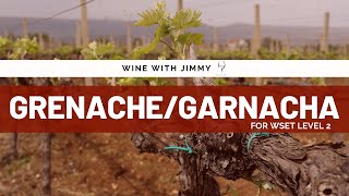 Grape Varieties GarnachaGrenache for WSET Level 2 [upl. by Yenahs491]