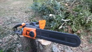 WEN 4017 Electric Chainsaw Review [upl. by Haraj]