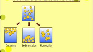 Mechanism Emulsion Instability [upl. by Ehgit]