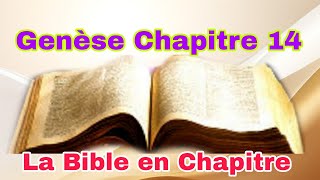 Genese Chapitre 14 [upl. by Fulks]