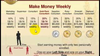 Organo Gold Pay Plan explained 2014 USA [upl. by Eicul]