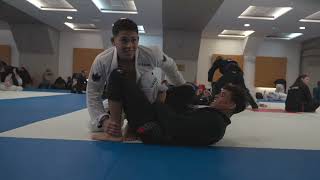 Mica Galvão and Diego Sodre Train Before IBJJF Euros [upl. by Pollyanna]