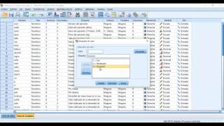 Transformación y Analisis estadistico descriptivo con SPSS [upl. by Quar740]