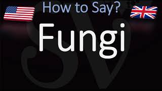 How to Pronounce Fungi [upl. by Alyehc]