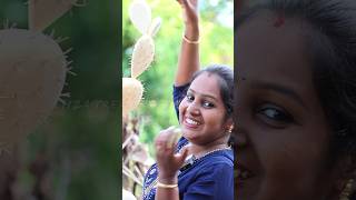 കൃത്രിമ കള്ളിമുൾ ചെടി  Cactus Plant Making  Eliza Creations shorts [upl. by Atnom]