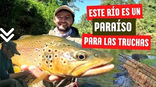 LOCURA DE JORNADA DE PESCA😱 MUCHOS PIQUES DE TRUCHAS 🔥LA VUELTA DE MI SOCIO PELAO 💪 CASI NO COMEMOS [upl. by Bess937]