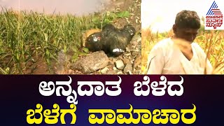 Dharwad ಅನ್ನದಾತನ ಬೆಳೆಗೆ ವಾಮಾಚಾರ  Kannada News  Suvarna News [upl. by Hsital]