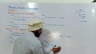 Ammonia derivative reactions  hydroxylamine amp hydrazine with carbonyl compound  12th class ch12 [upl. by Adnof]