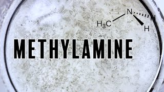 Making Methylamine 3 Ways [upl. by Nitsu847]