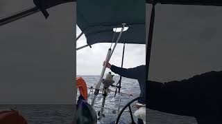 Bavaria C42 backstay tension [upl. by Orual]