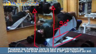 Exercice de musculation des pectoraux développé décliné haltères [upl. by Rafferty]