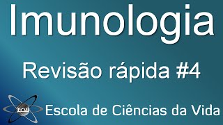 revisão rápida de imunologia 4 ativação dos linfócitos B [upl. by Malo884]