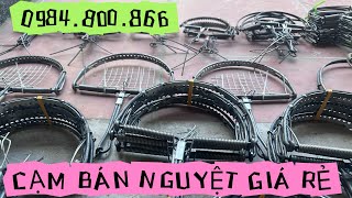 CẠM BÁN NGUYỆT SIÊU HIỆU QUẢ KHÔNG CẦN MỒI GIÁ CỰC RẺ LH 0984800966 bayco bayvac baychuot [upl. by Brina230]