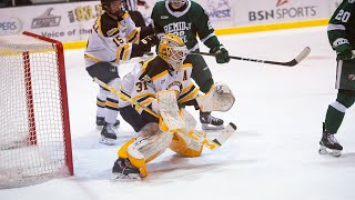 Tech Hockey  I Bemidji State Highlights  011924 [upl. by Sheffy725]