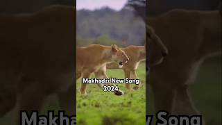 Makhadzi New Song 2024 🔥🔥 WE CAN DO IT makhadzi amapiano shorts shortvideo short [upl. by Satterfield484]