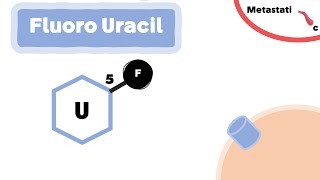 The Mechanism of Fluorouracil 5FU [upl. by Stafani821]