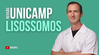 UNICAMP 2024  Os lisossomos são organelas centrais que desempenham funções importantes [upl. by Shiroma]