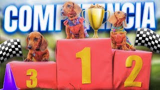 COMPETENCIAS DE CACHORROS  LOS POLINESIOS VLOGS [upl. by Stacy]