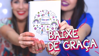 DIY PLANNER FOFO E BARATINHO ♥ BAIXE DE GRAÇA [upl. by Alasdair883]