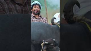 Nirahua Hindustani 4  Official Trailer  Dinesh Lal Yadav quotNirahuaquot  Aamrapali Dubey  Movie 2024 [upl. by Nylirad311]