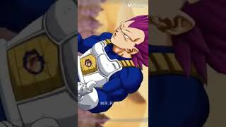 granola vs vegeta [upl. by Nerfe]