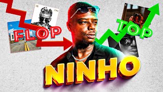 10 TOP amp 10 FLOP DE NINHO [upl. by Nnylyram]