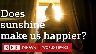 Is the sunshine cure a real thing  CrowdScience BBC World Service podcast [upl. by Adlemy]